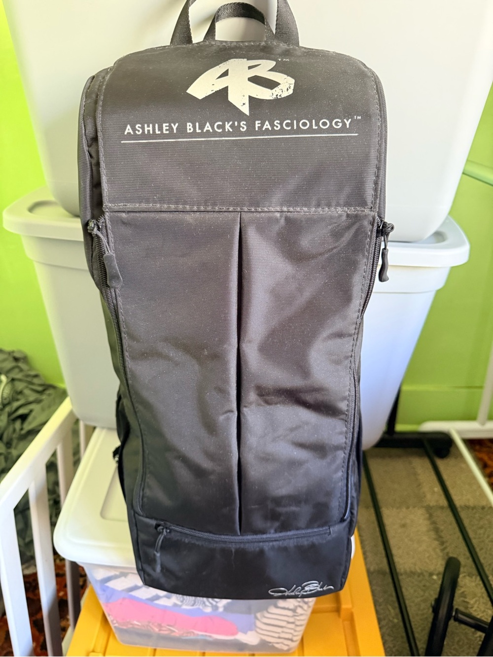 Ashley Black Black Facial/Body Tool Travel Case & Tools
